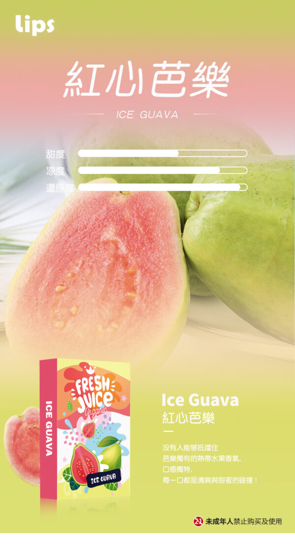 LIPS煙彈 一代通用蛋/一盒3入//極冰果茶系列霧化彈💖果味十足【滿6盒送一盒】