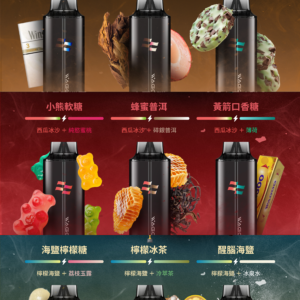 新品上市💖 WAGOO &KIS5 哇酷拋棄式6500口 一次性電子煙 磁吸組合 雙口味自由混搭【滿十送一】