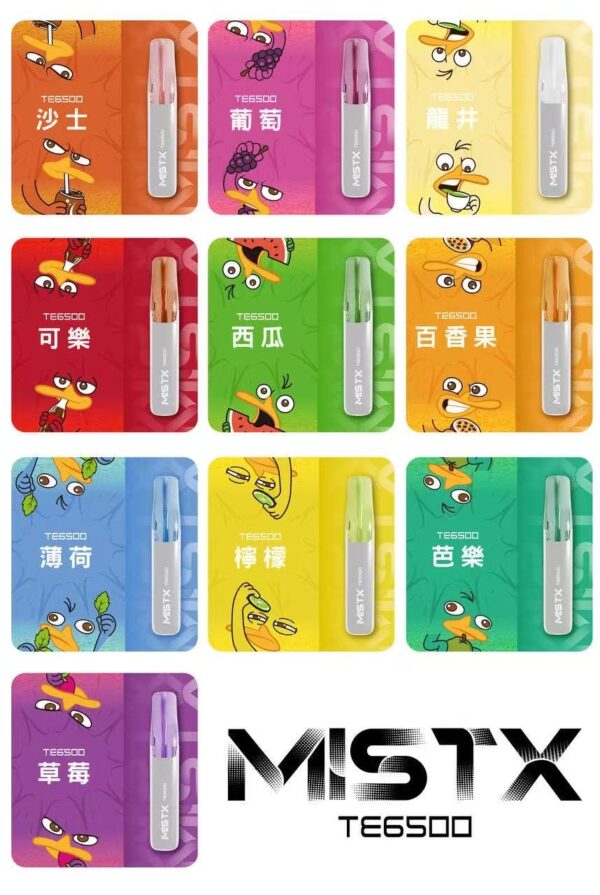 MISTX鴨嘴獸抛棄式 6500口 便宜好用